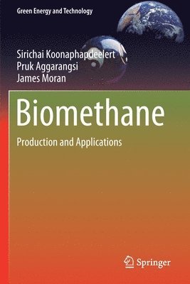 bokomslag Biomethane