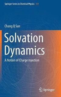 bokomslag Solvation Dynamics