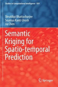 bokomslag Semantic Kriging for Spatio-temporal Prediction