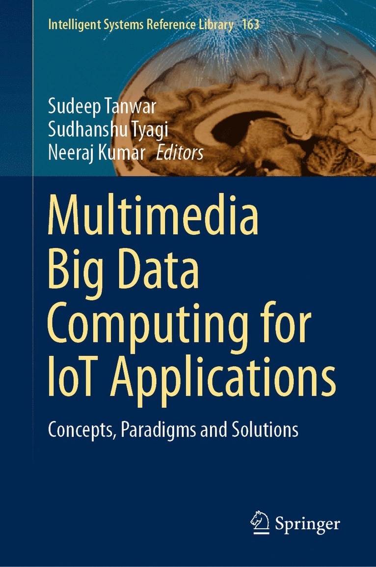 Sudeep Tanwar, Sudhanshu Tyagi, Neeraj Kumar - Multimedia Big Data Computing for IoT Applications, Inbunden