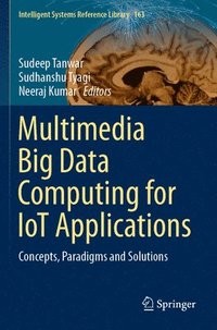 bokomslag Multimedia Big Data Computing for IoT Applications