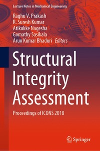 bokomslag Structural Integrity Assessment