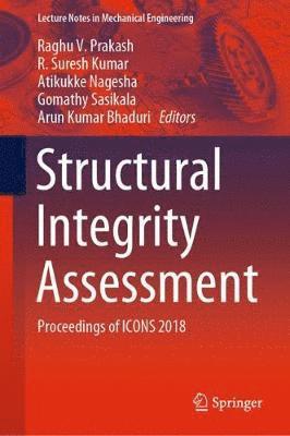 bokomslag Structural Integrity Assessment