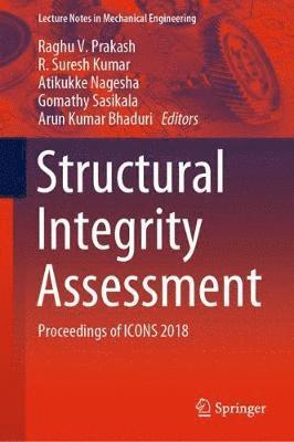 Structural Integrity Assessment