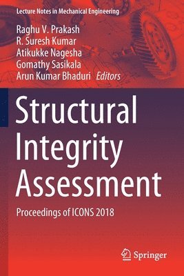 Structural Integrity Assessment 1