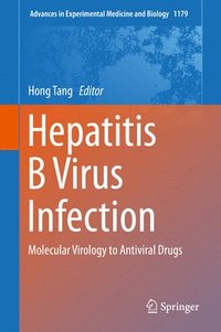 bokomslag Hepatitis B Virus Infection