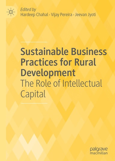 Hardeep Chahal, Vijay Pereira, Jeevan Jyoti - Sustainable Business Practices for Rural Development, Inbunden