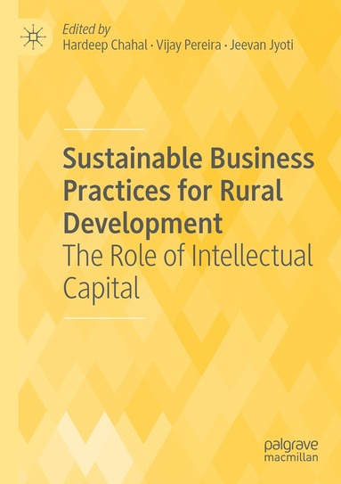 Hardeep Chahal, Vijay Pereira, Jeevan Jyoti - Sustainable Business Practices for Rural Development, Häftad