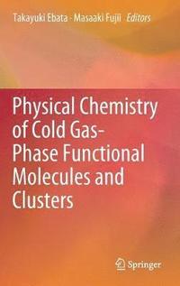 bokomslag Physical Chemistry of Cold Gas-Phase Functional Molecules and Clusters