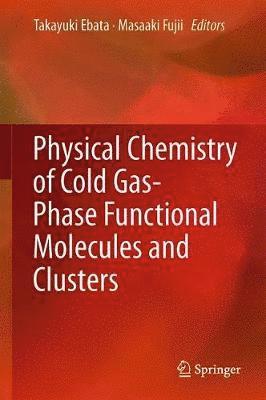 bokomslag Physical Chemistry of Cold Gas-Phase Functional Molecules and Clusters