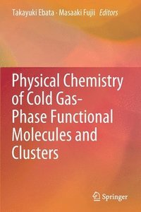 bokomslag Physical Chemistry of Cold Gas-Phase Functional Molecules and Clusters