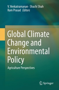 bokomslag Global Climate Change and Environmental Policy