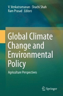 bokomslag Global Climate Change and Environmental Policy