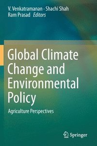 bokomslag Global Climate Change and Environmental Policy