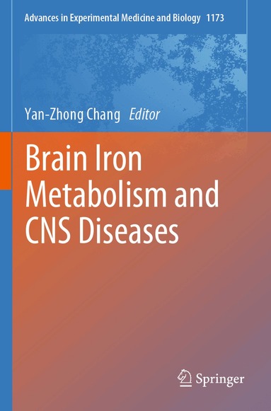 Yan-Zhong Chang - Brain Iron Metabolism and CNS Diseases, Häftad