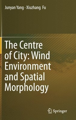 bokomslag The Centre of City: Wind Environment and Spatial Morphology