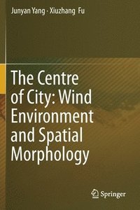 bokomslag The Centre of City: Wind Environment and Spatial Morphology