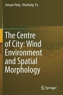 bokomslag The Centre of City: Wind Environment and Spatial Morphology