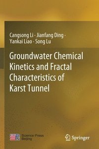 bokomslag Groundwater Chemical Kinetics and Fractal Characteristics of Karst Tunnel