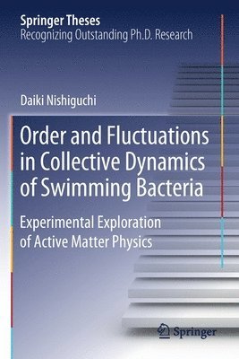 Order and Fluctuations in Collective Dynamics of Swimming Bacteria 1