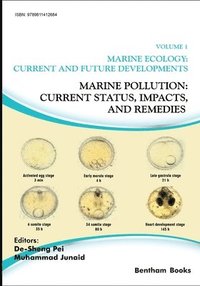 bokomslag Marine Pollution: Current Status, Impacts, and Remedies