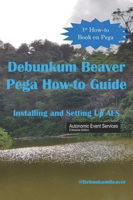 bokomslag Debunkum Beaver How-to Guide: Installing and Testing AES
