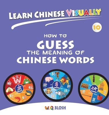 bokomslag Learn Chinese Visually 10