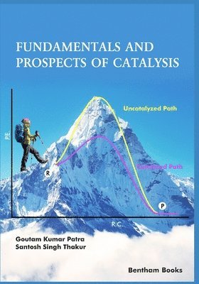 Goutam Kumar Patra, Santosh Singh Thakur - Fundamentals and Prospects of Catalysis, Häftad