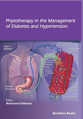 bokomslag Phytotherapy in the Management of Diabetes and Hypertension - Volume 3