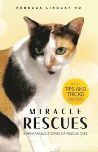 bokomslag Miracle Rescues: 9 remarkable stories of rescue cats with tips-and-tricks to run a successful cat rescue operations