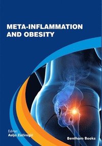 bokomslag Meta-inflammation and Obesity