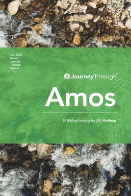 J R Hudberg - Journey Through Amos, Häftad