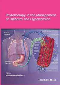 bokomslag Phytotherapy in the Management of Diabetes and Hypertension - Volume 4