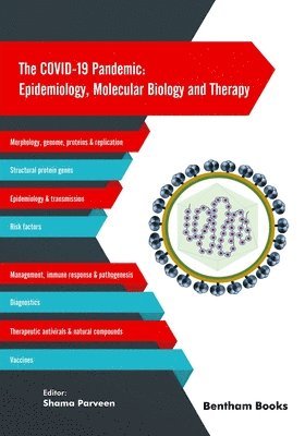 The COVID-19 Pandemic 1