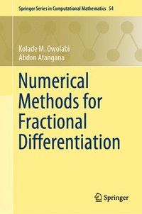 bokomslag Numerical Methods for Fractional Differentiation