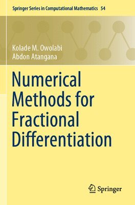 Kolade M. Owolabi, Abdon Atangana - Numerical Methods for Fractional Differentiation, Häftad