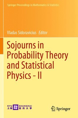 bokomslag Sojourns in Probability Theory and Statistical Physics - II