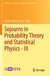 bokomslag Sojourns in Probability Theory and Statistical Physics - III