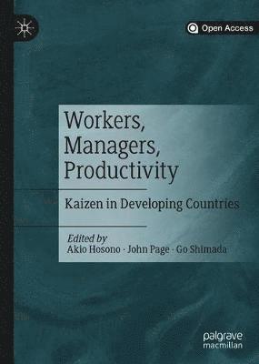 bokomslag Workers, Managers, Productivity