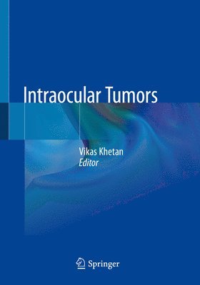 bokomslag Intraocular Tumors