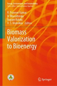 bokomslag Biomass Valorization to Bioenergy