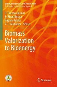 bokomslag Biomass Valorization to Bioenergy