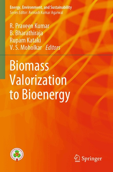 R. Praveen Kumar, B. Bharathiraja, Rupam Kataki, V. S. Moholkar - Biomass Valorization to Bioenergy, Häftad