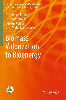 bokomslag Biomass Valorization to Bioenergy