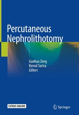 bokomslag Percutaneous Nephrolithotomy