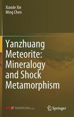 bokomslag Yanzhuang Meteorite: Mineralogy and Shock Metamorphism