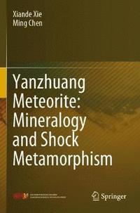bokomslag Yanzhuang Meteorite: Mineralogy and Shock Metamorphism