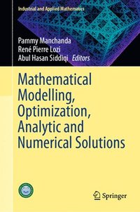 bokomslag Mathematical Modelling, Optimization, Analytic and Numerical Solutions