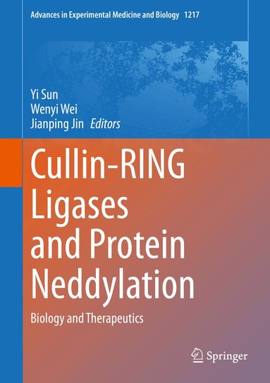 Yi Sun, Wenyi Wei, Jianping Jin - Cullin-RING Ligases and Protein Neddylation, Inbunden