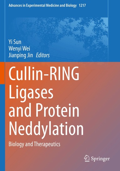 Yi Sun, Wenyi Wei, Jianping Jin - Cullin-RING Ligases and Protein Neddylation, Häftad